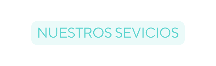 NUESTROS SEVICIOS