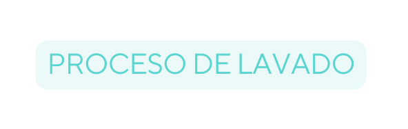 PROCESO DE LAVADO